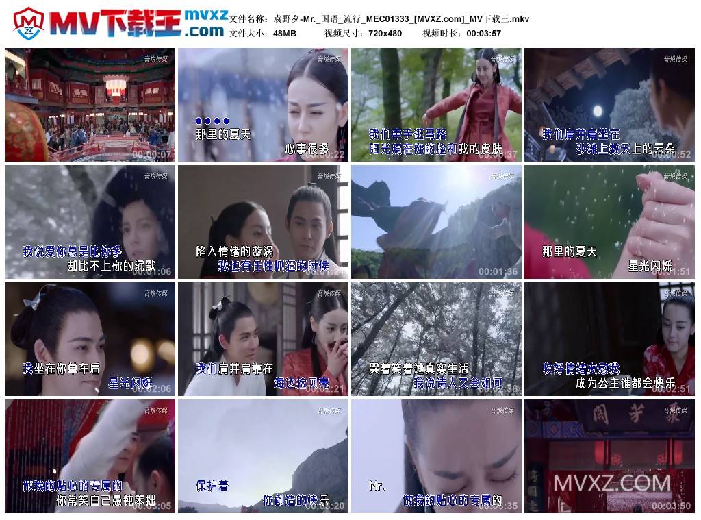 袁野夕-Mr._国语_流行_MEC01333